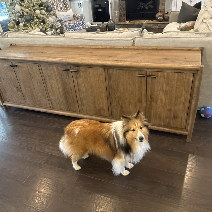 Birch Lane™ Cayenne Sideboard & Reviews | Wayfair